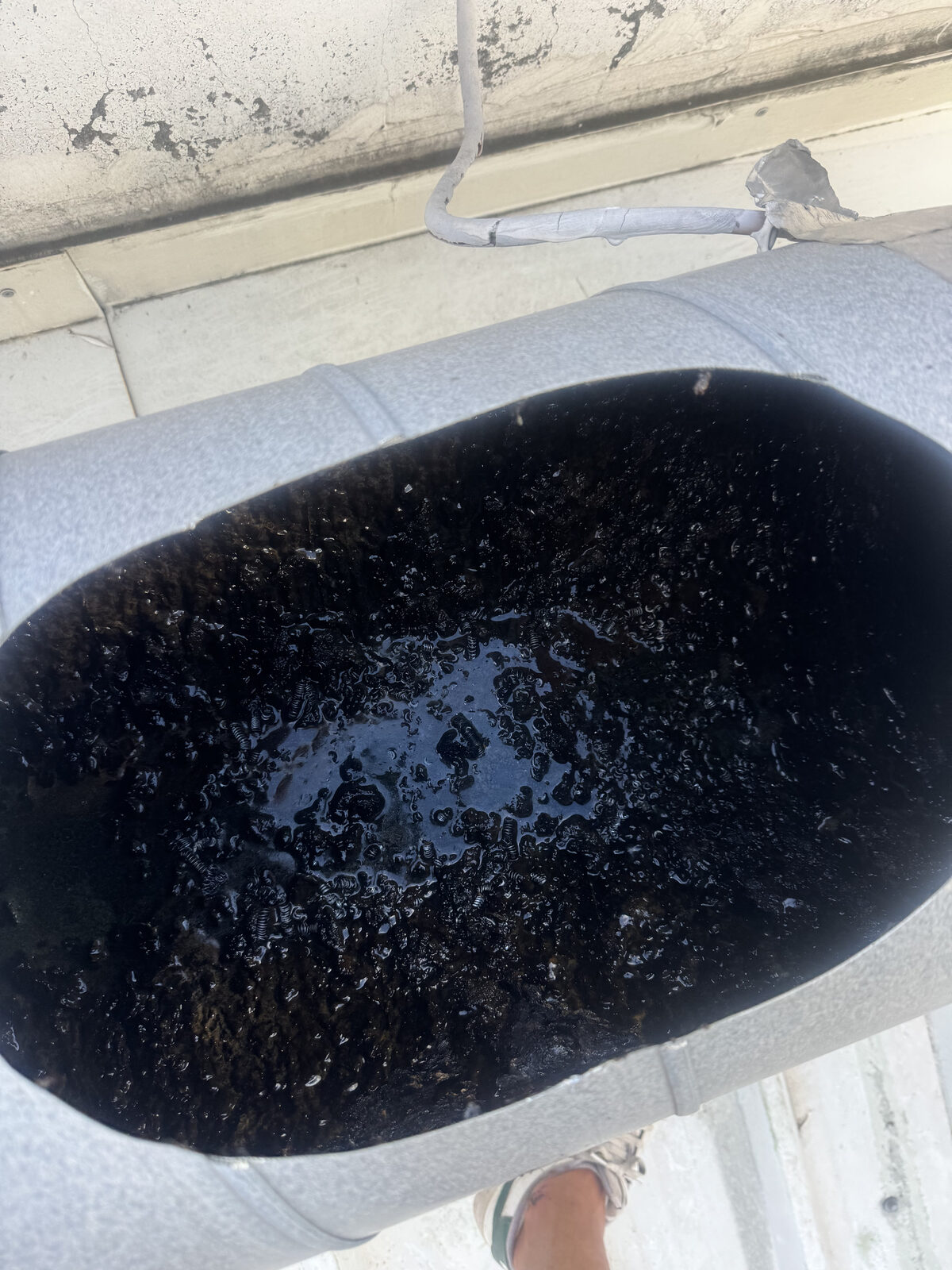 Intérieur de gaine bouchée par le gras